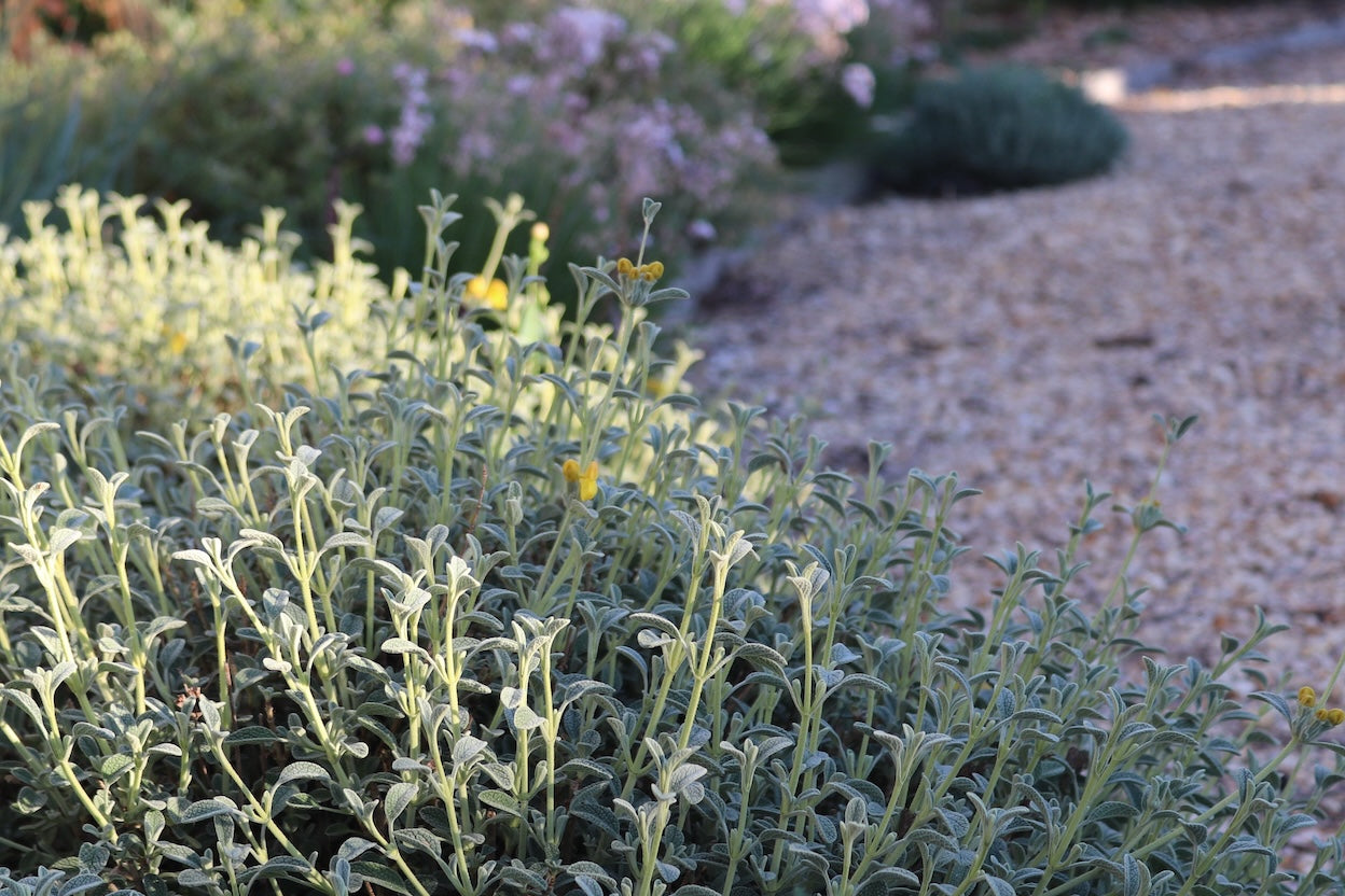 Mediterranean Palette