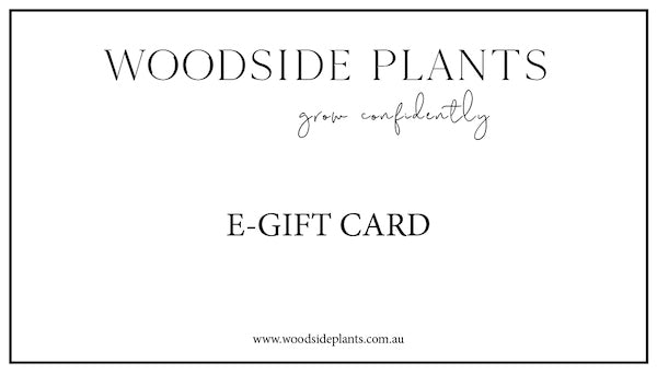 eGift Card